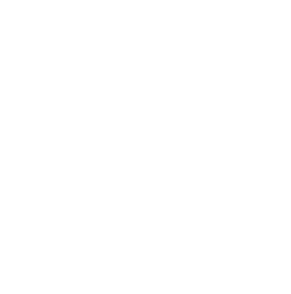 Le Joyau de Shanti